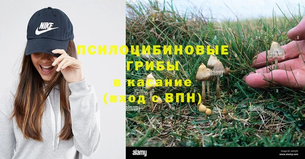jwh Медногорск