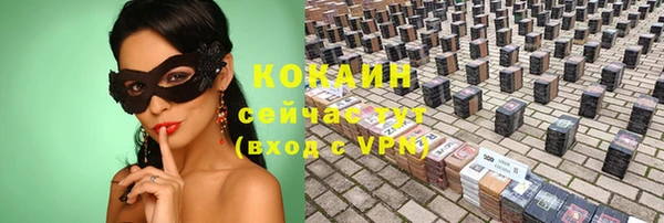 молекула духа Медвежьегорск