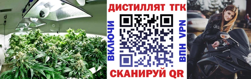 kraken зеркало  Чкаловск  ТГК вейп с тгк 