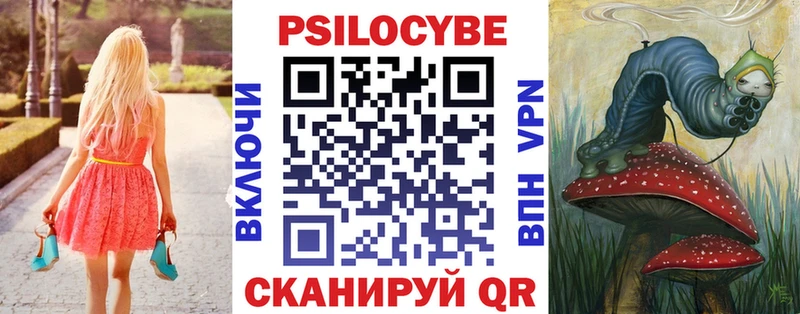 гидра зеркало даркнет сайт Чкаловск Галлюциногенные грибы Psilocybine cubensis